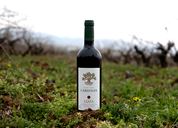 Château Ksara, Lebanon’s leading winery releases Carignan varietal
